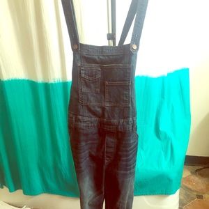 Free People Denim Overalls